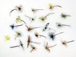 Stillwater Assorted Mayflies x 20